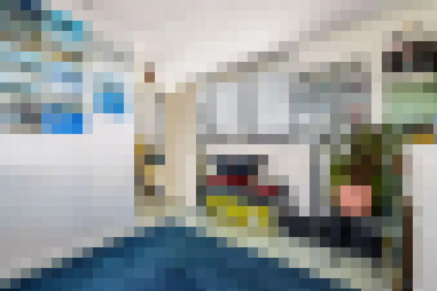 Woelmuisakker 5 Houten thumbnail 33