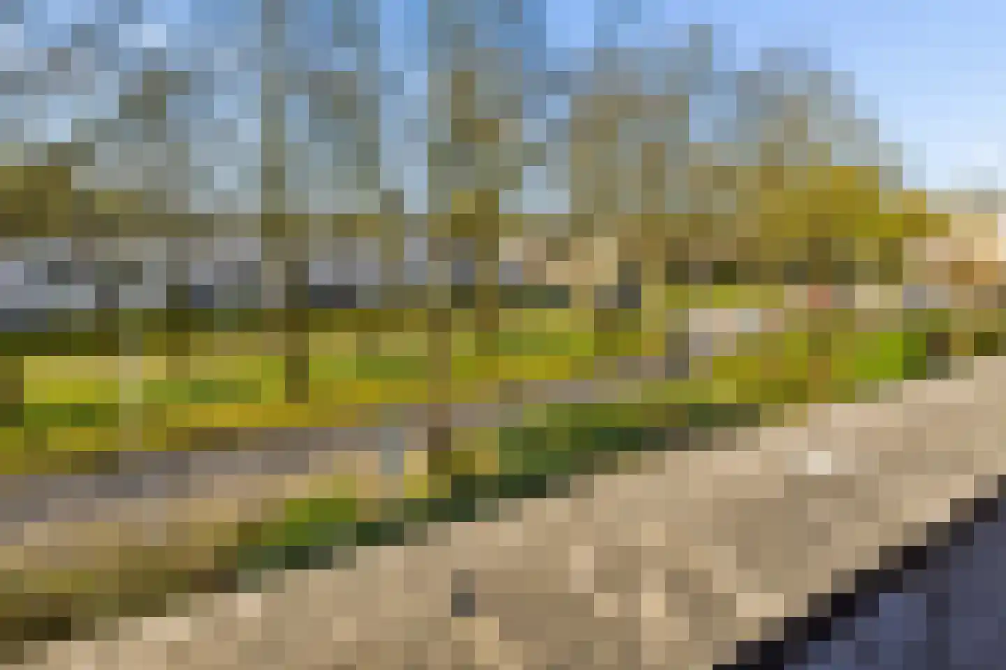 Woelmuisakker 5 Houten thumbnail 36