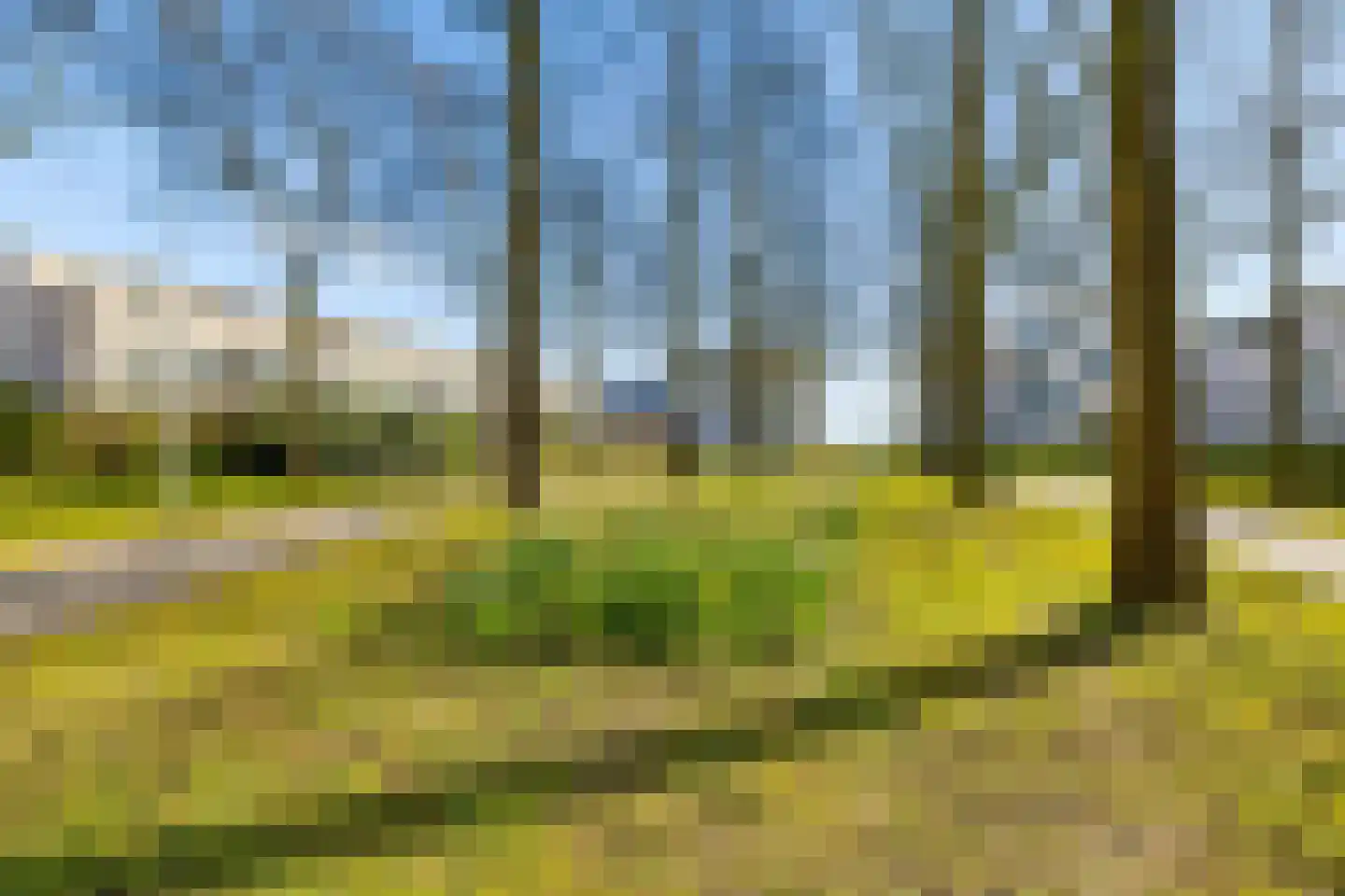 Woelmuisakker 5 Houten thumbnail 43