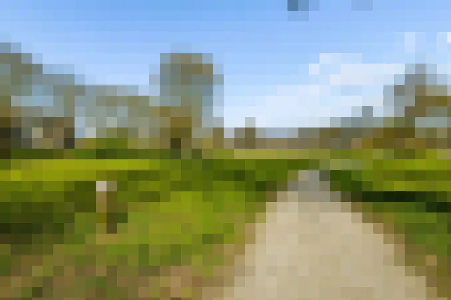 Woelmuisakker 5 Houten thumbnail 44