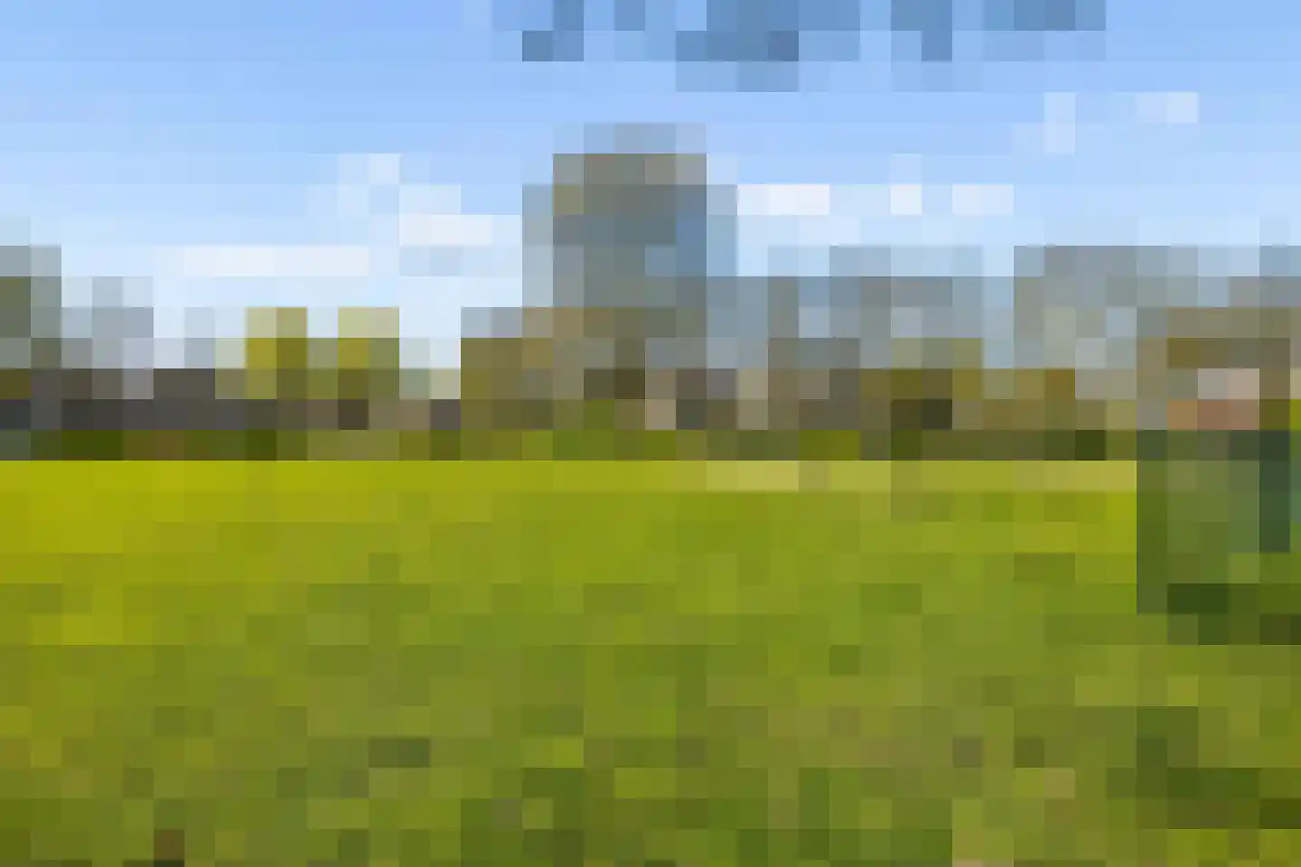 Woelmuisakker 5 Houten thumbnail 45