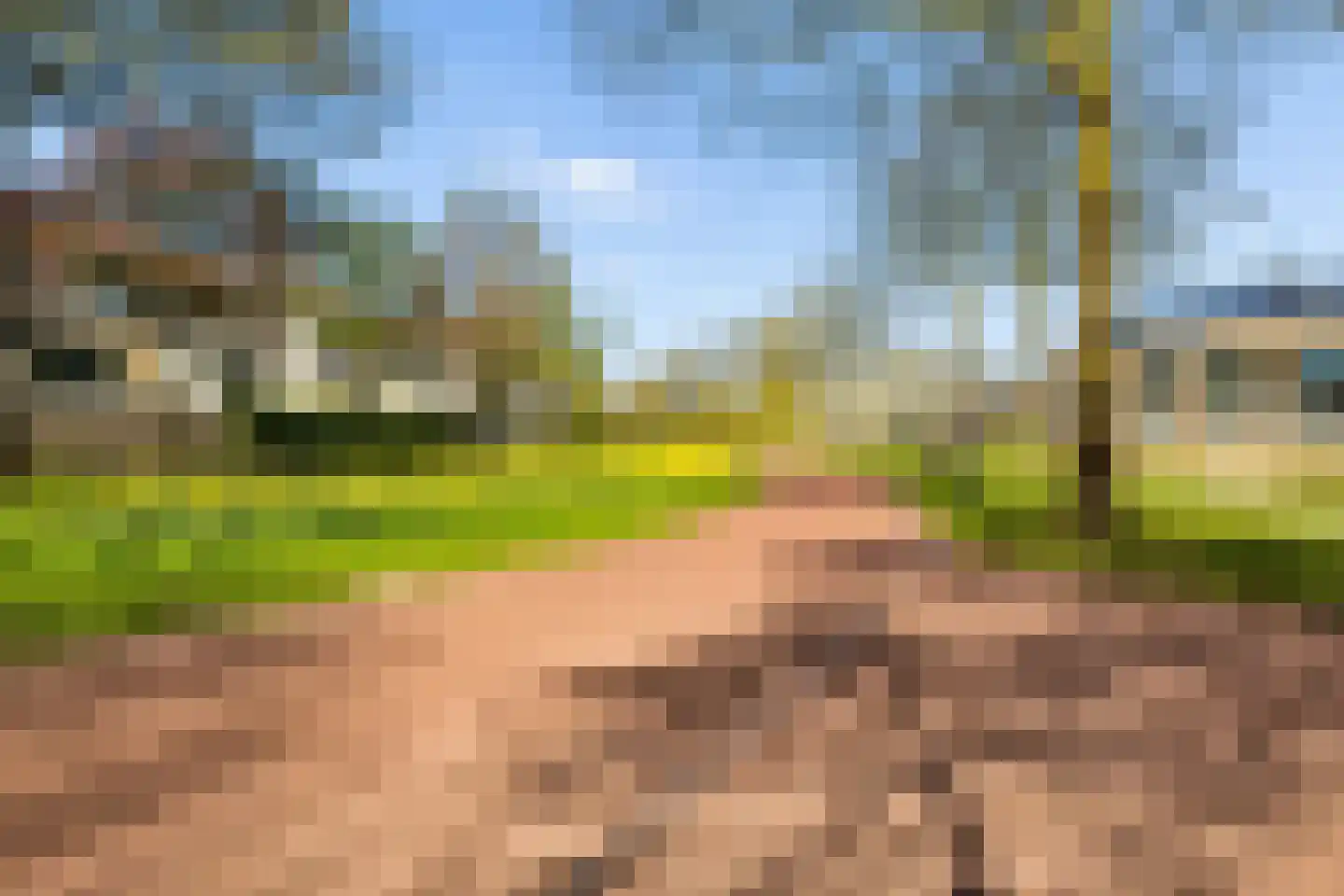 Woelmuisakker 5 Houten thumbnail 47