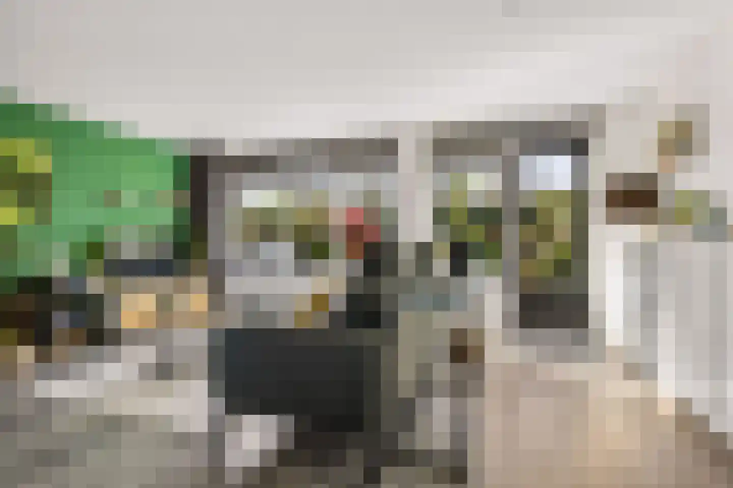 Woelmuisakker 5 Houten thumbnail 5