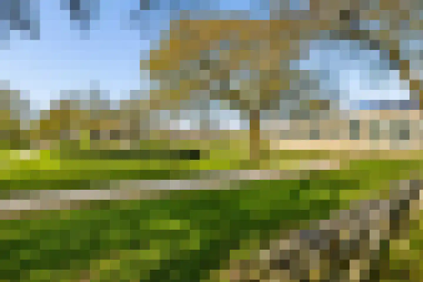 Woelmuisakker 5 Houten thumbnail 52