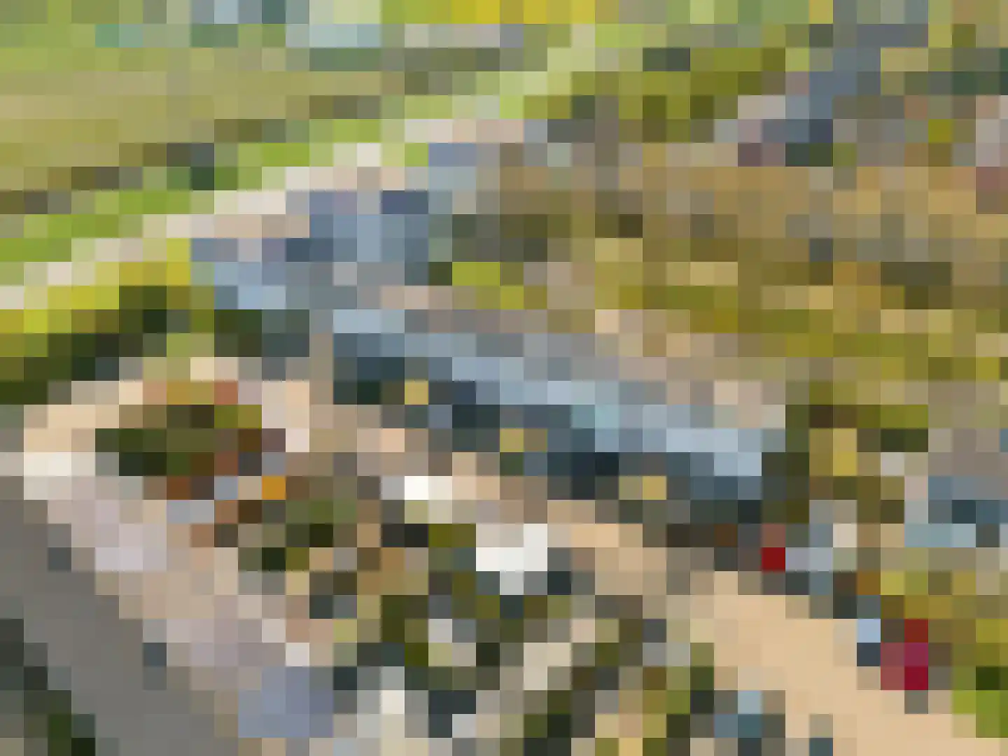 Woelmuisakker 5 Houten thumbnail 53