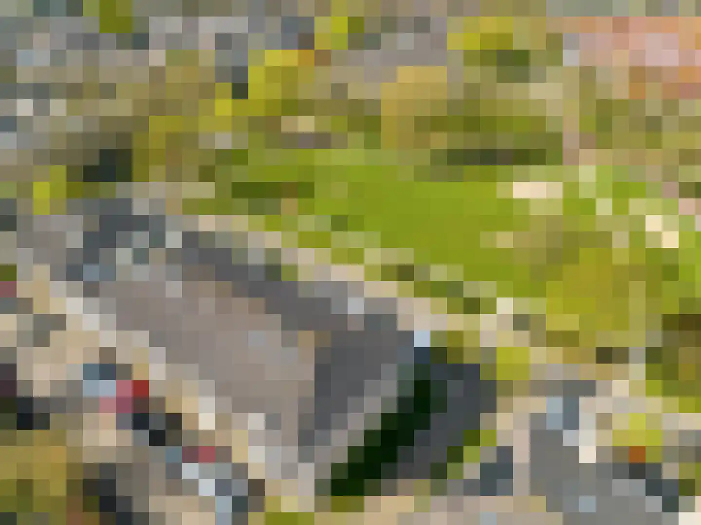 Woelmuisakker 5 Houten thumbnail 55
