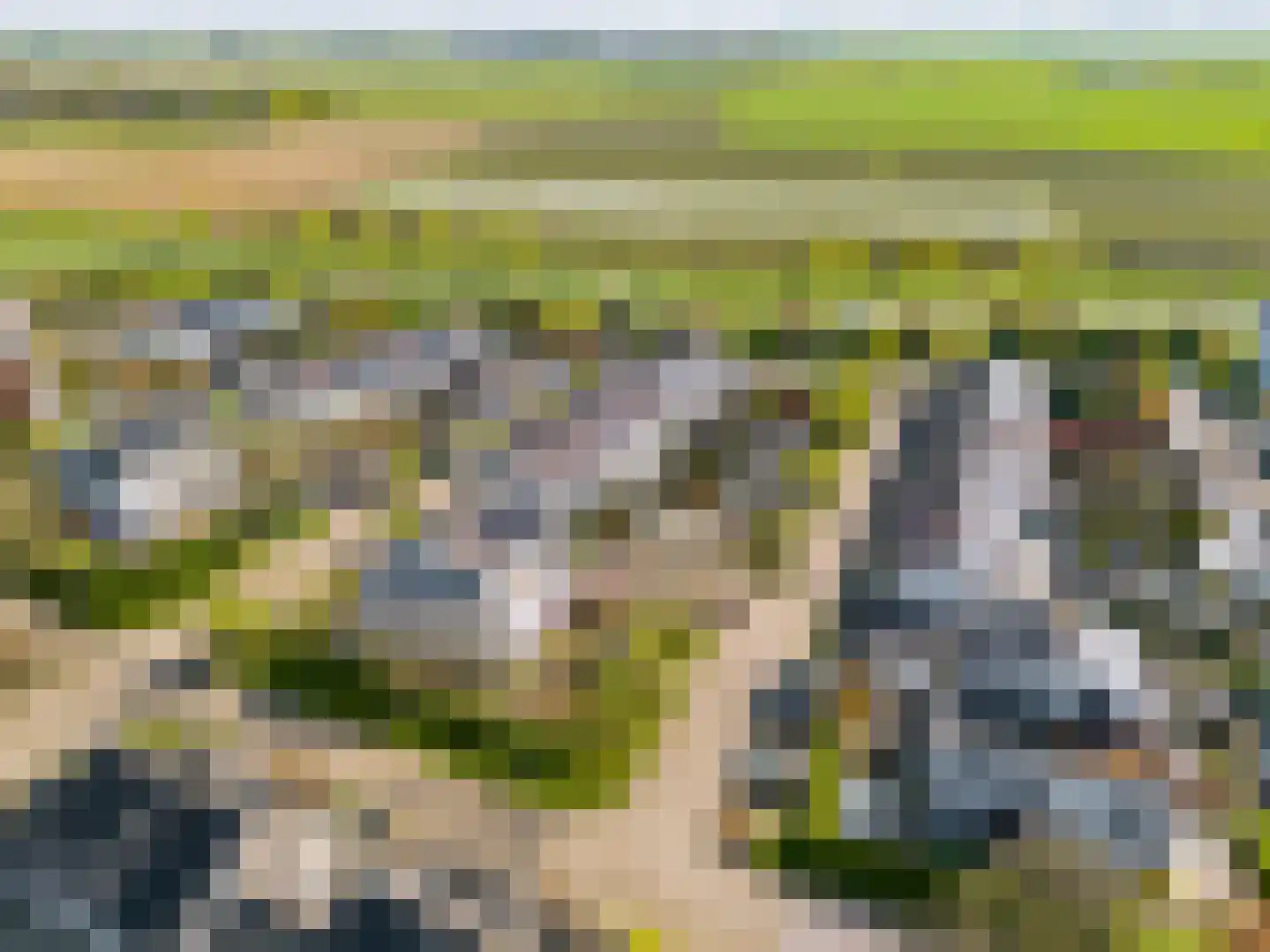 Woelmuisakker 5 Houten thumbnail 56