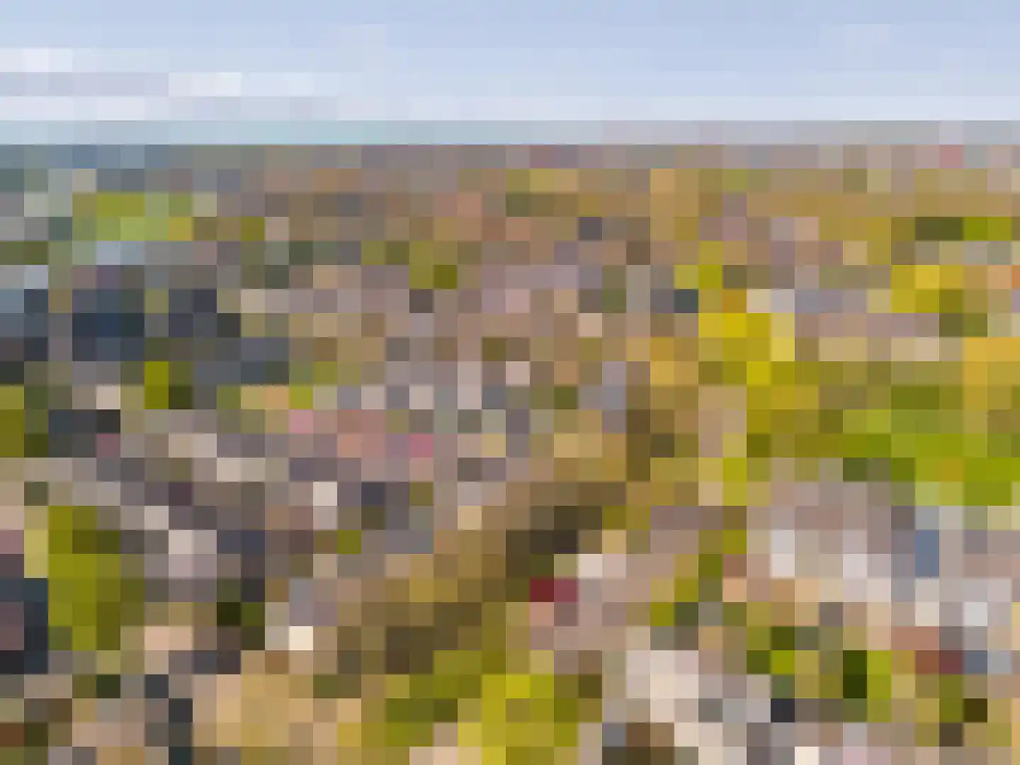 Woelmuisakker 5 Houten thumbnail 57