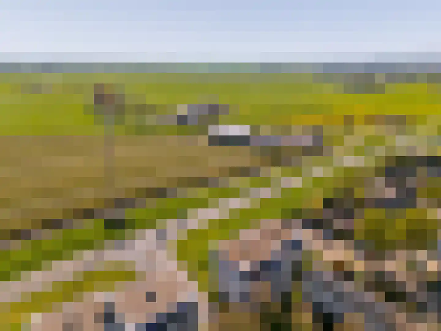 Woelmuisakker 5 Houten thumbnail 58