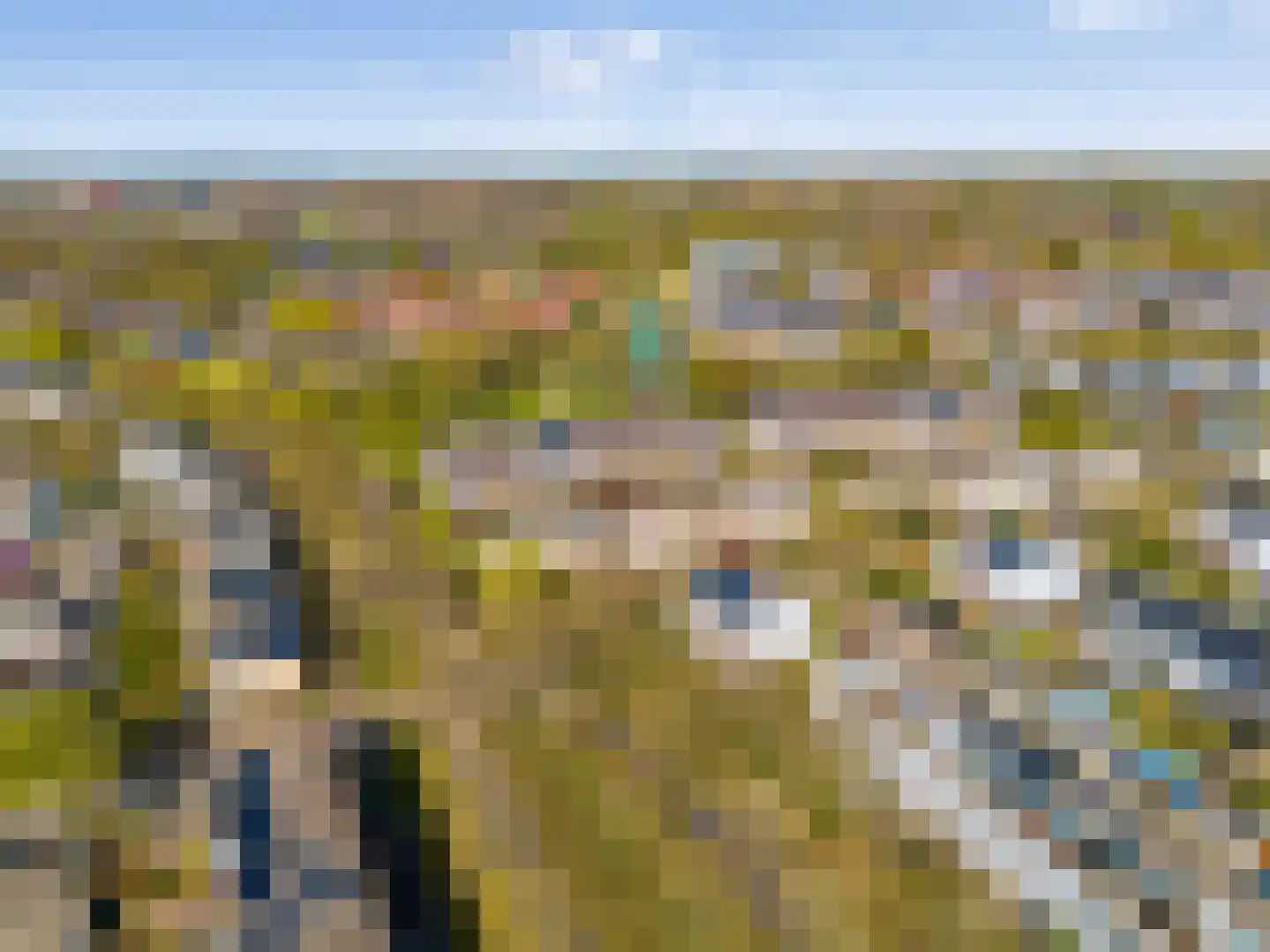 Woelmuisakker 5 Houten thumbnail 59