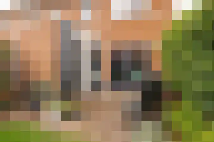 Woelmuisstraat 3 Culemborg thumbnail 18