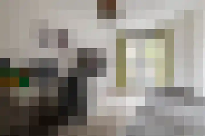 Woelmuisstraat 3 Culemborg thumbnail 28