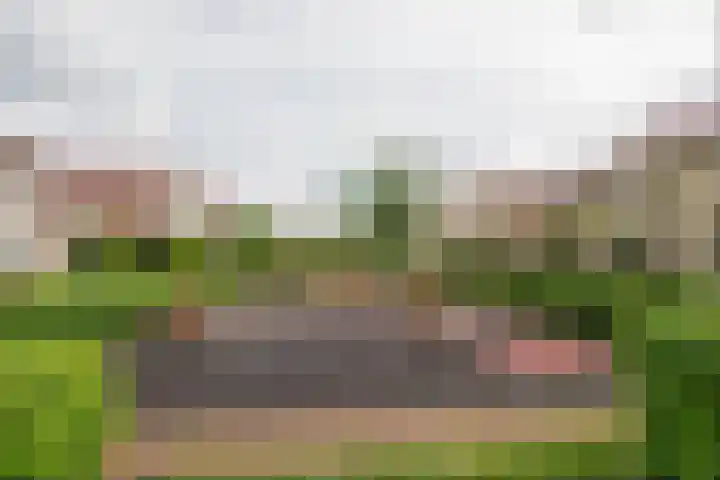 Woelmuisstraat 3 Culemborg thumbnail 43