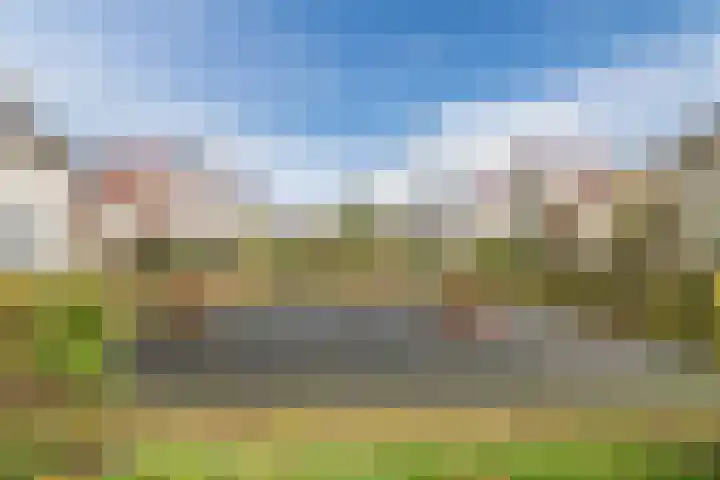 Woelmuisstraat 4 Culemborg thumbnail 30