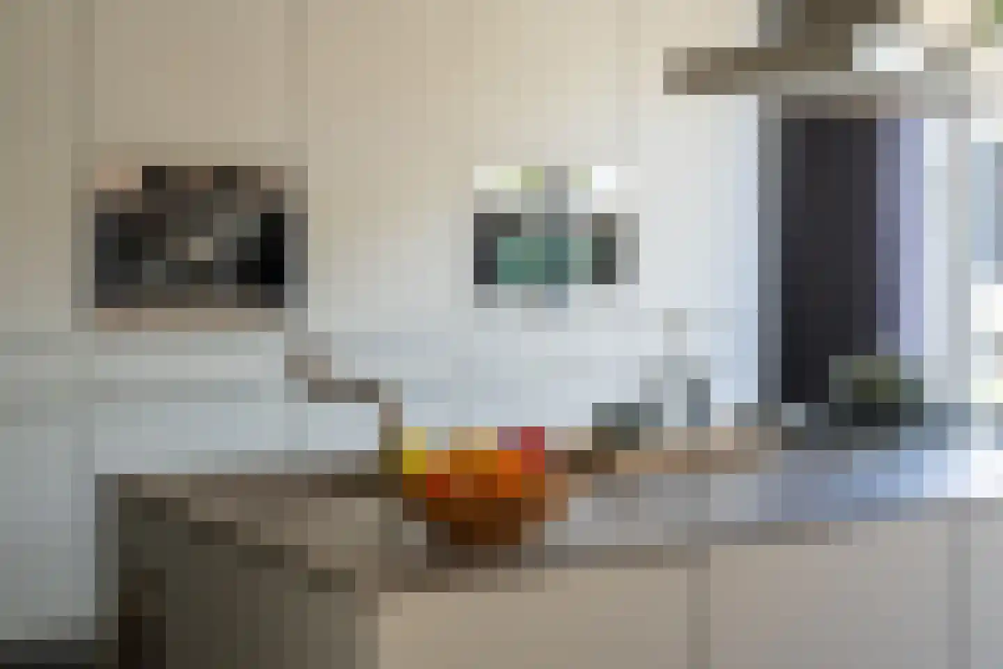 Woelse Donk 5 Gorinchem thumbnail 10