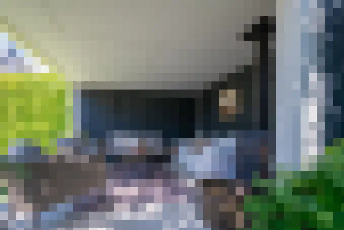 Woelse Donk 5 Gorinchem thumbnail 14