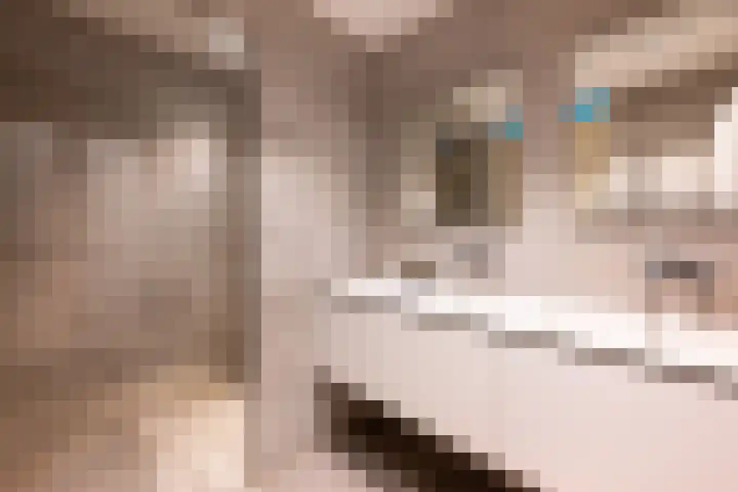 Woelse Donk 5 Gorinchem thumbnail 17