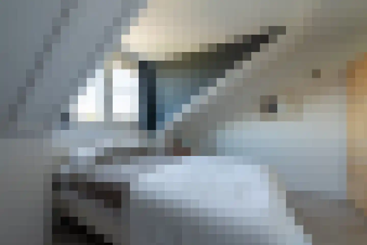 Woelse Donk 5 Gorinchem thumbnail 20