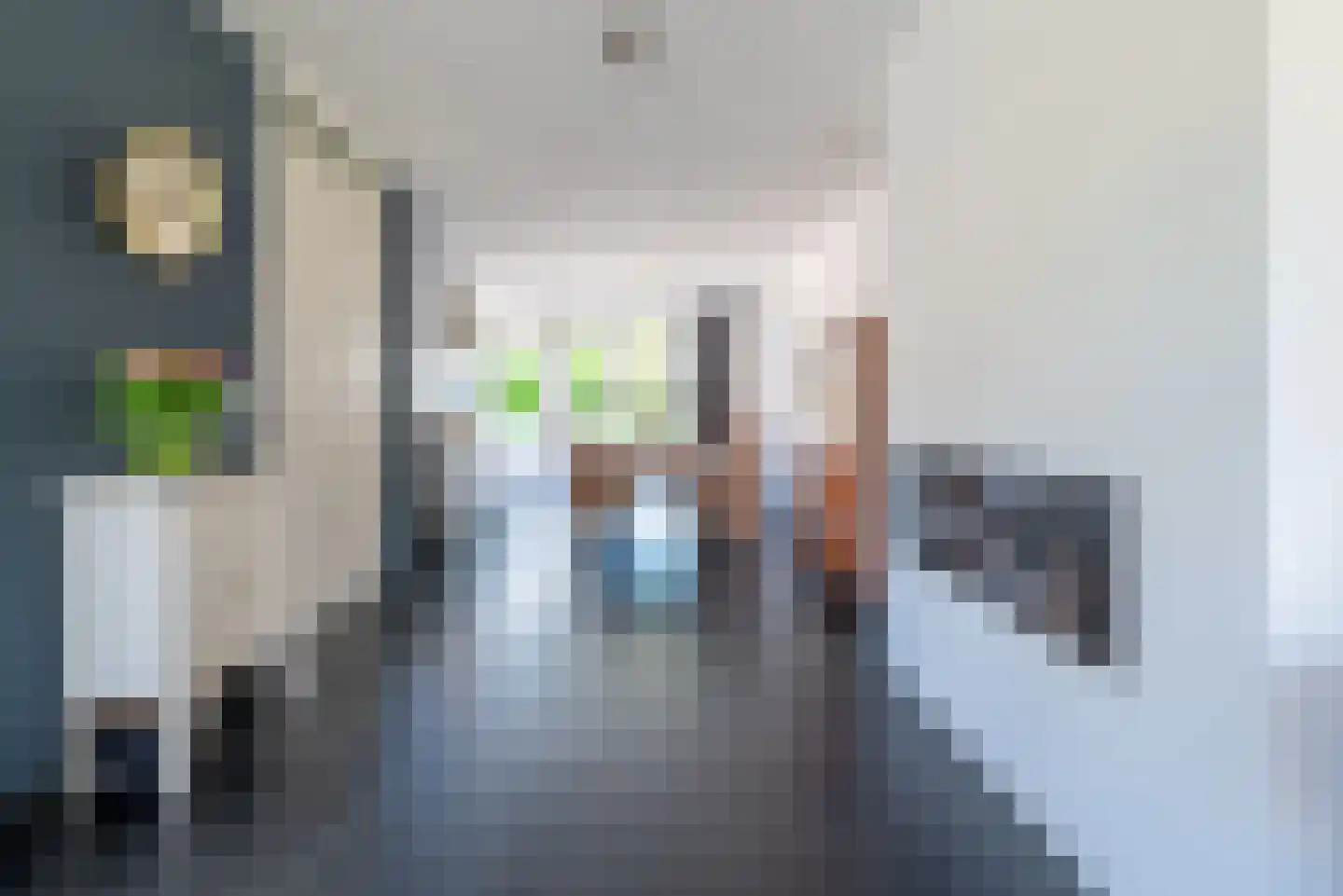 Woelse Donk 5 Gorinchem thumbnail 7