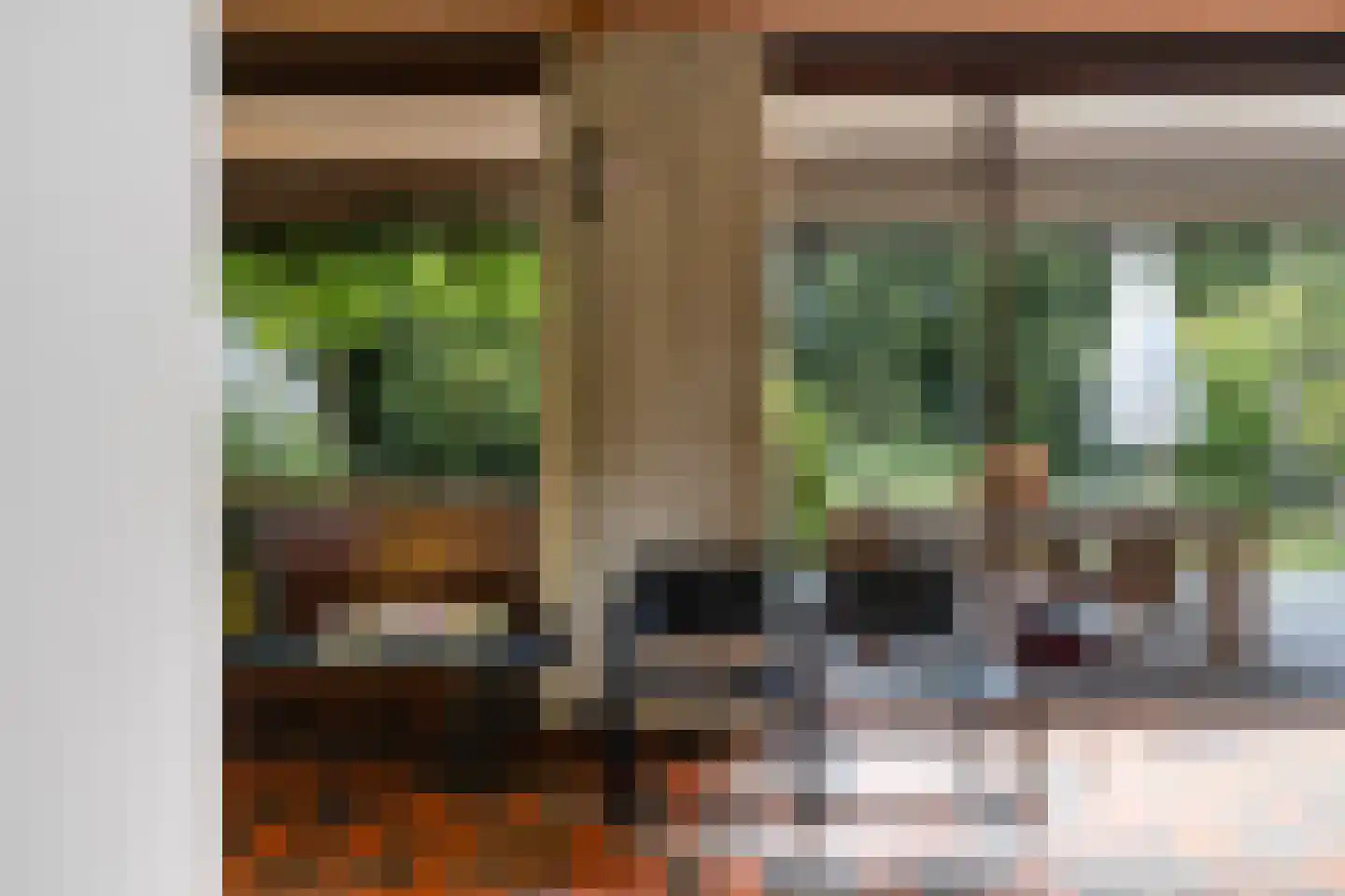 Woelwijk 1 A Tytsjerk thumbnail 15