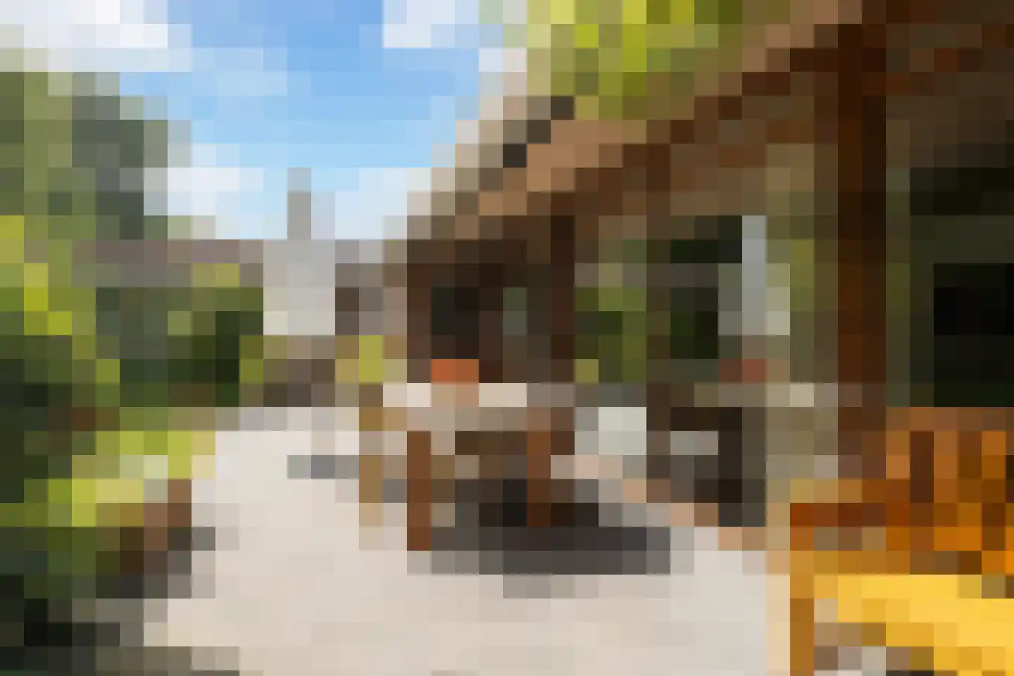 Woelwijk 1 A Tytsjerk thumbnail 28