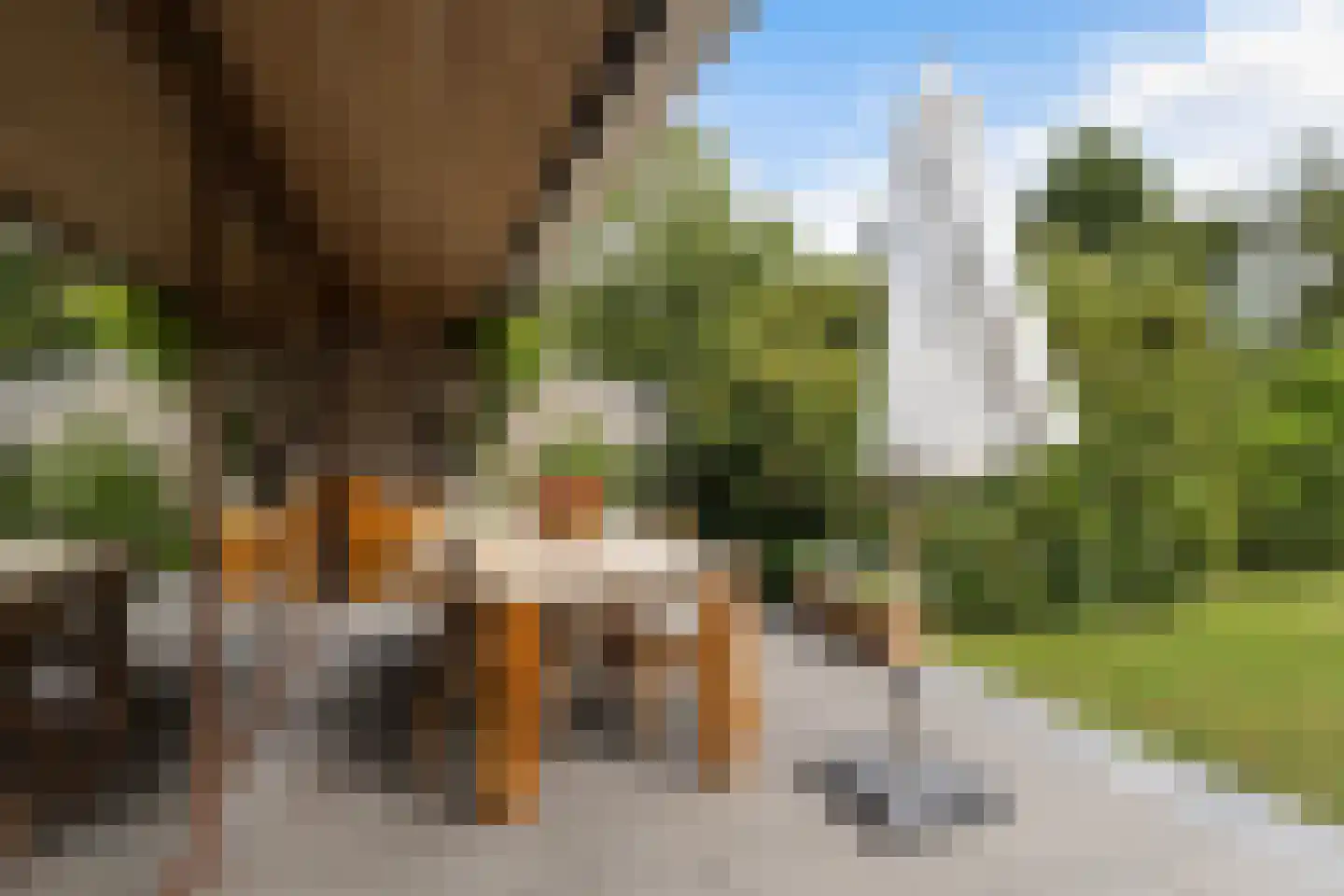 Woelwijk 1 A Tytsjerk thumbnail 29