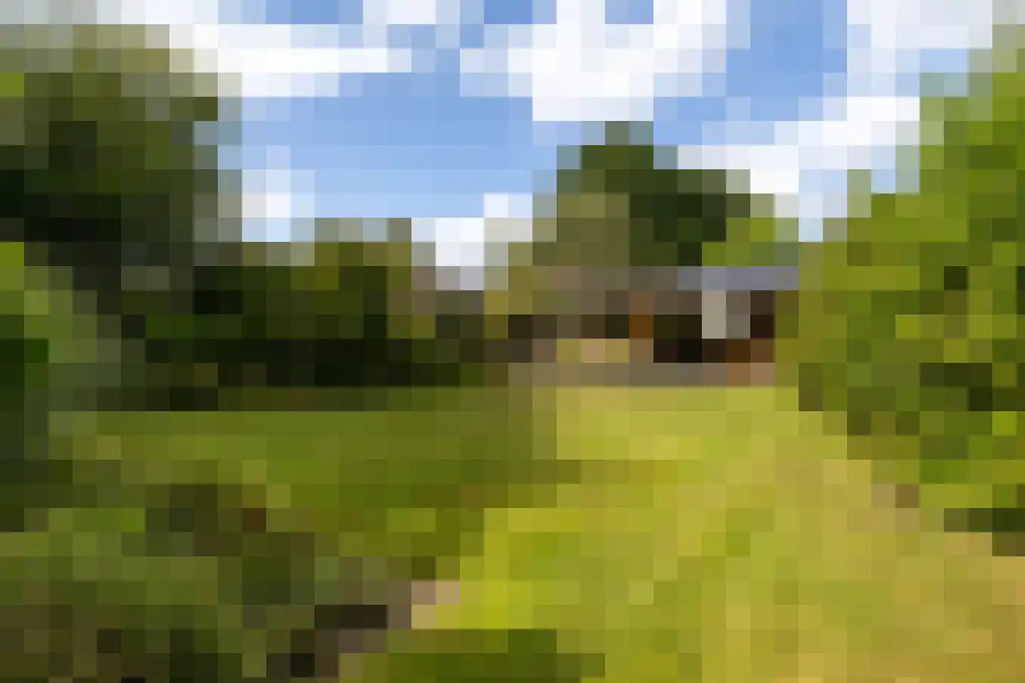 Woelwijk 1 A Tytsjerk thumbnail 30