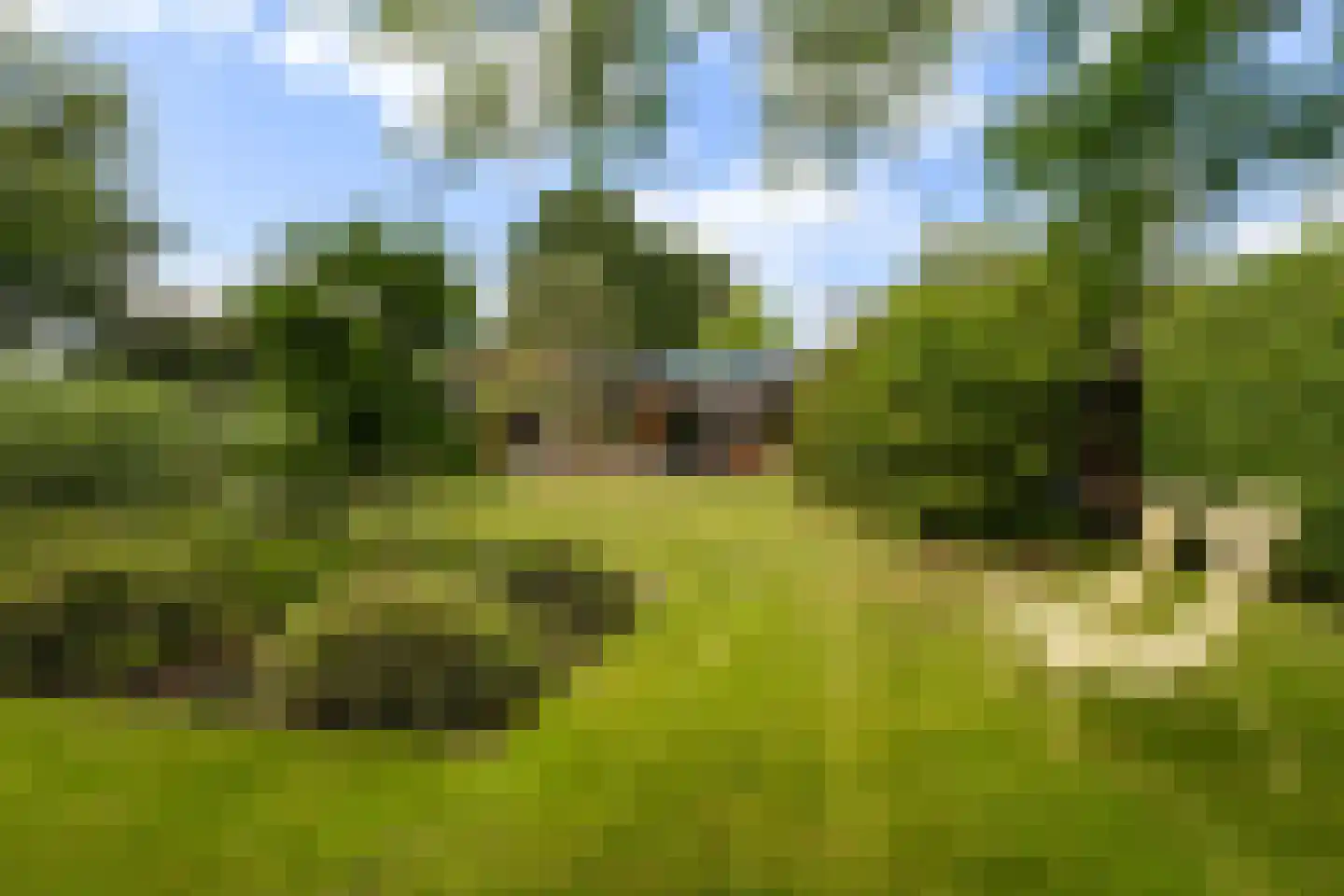 Woelwijk 1 A Tytsjerk thumbnail 31