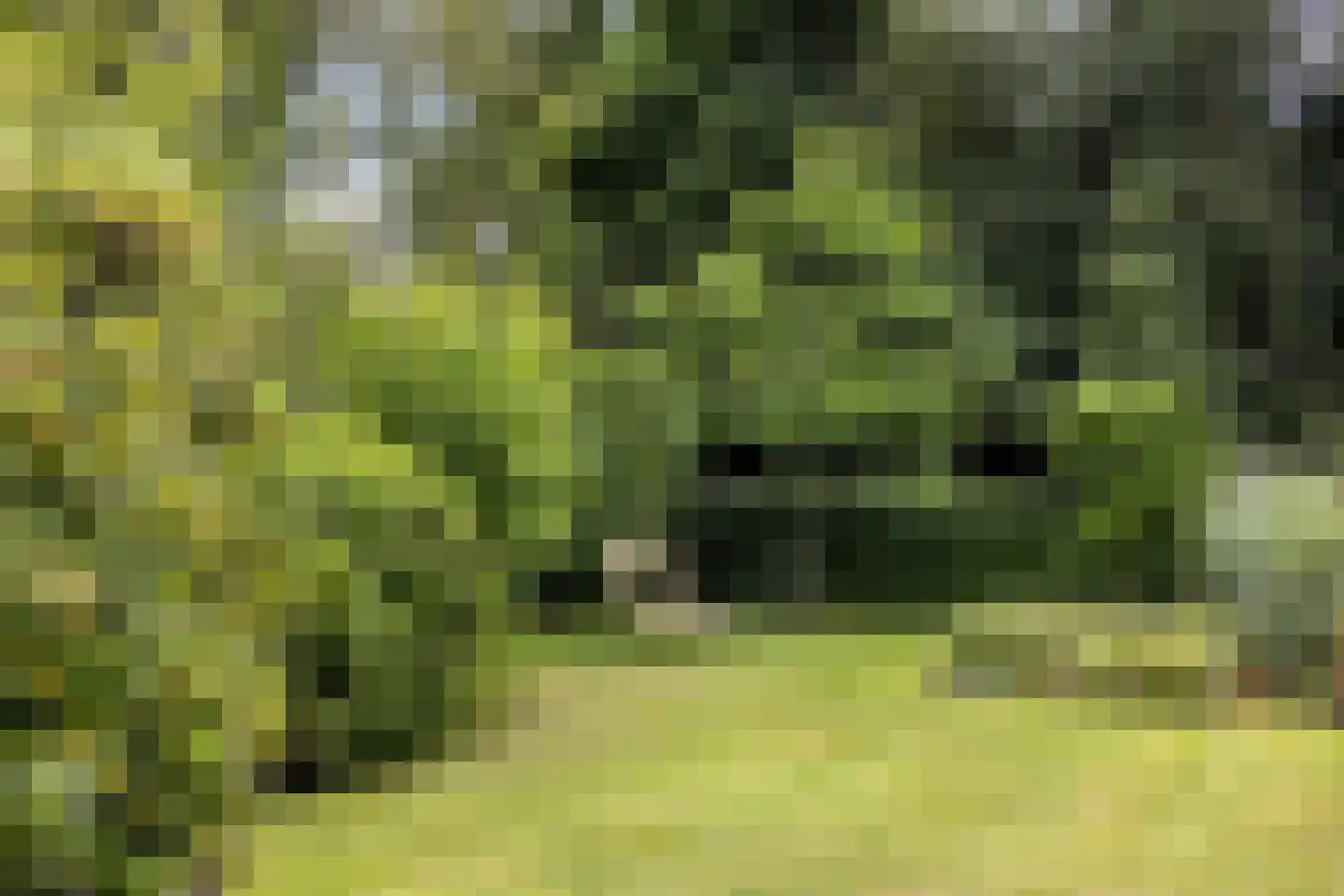 Woelwijk 1 A Tytsjerk thumbnail 32