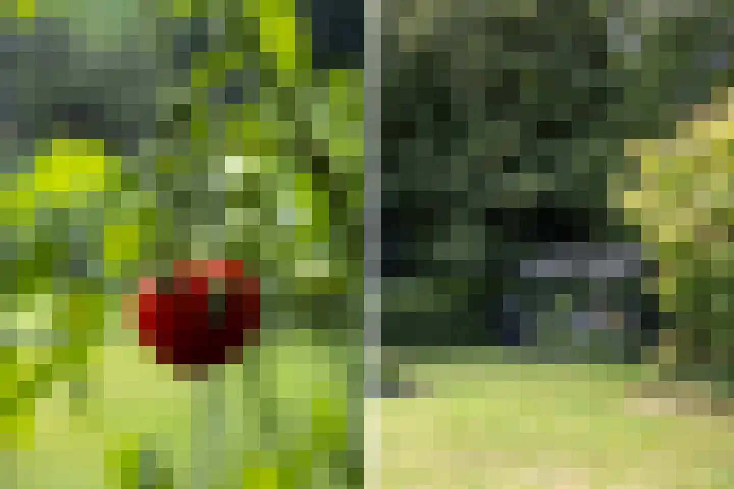 Woelwijk 1 A Tytsjerk thumbnail 33