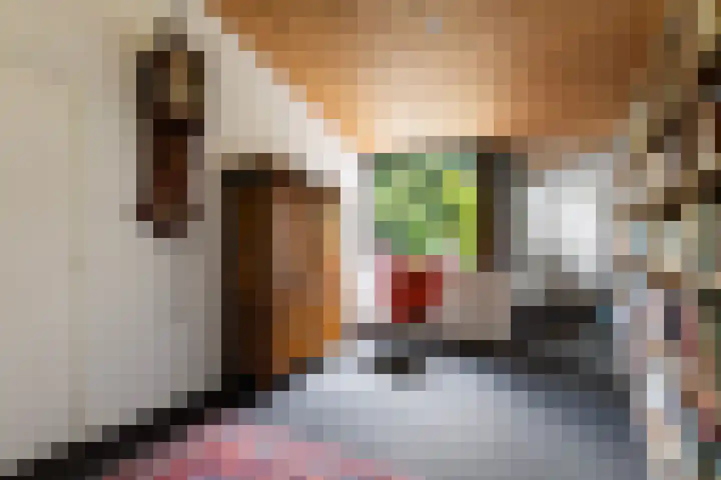 Woelwijk 1 A Tytsjerk thumbnail 34