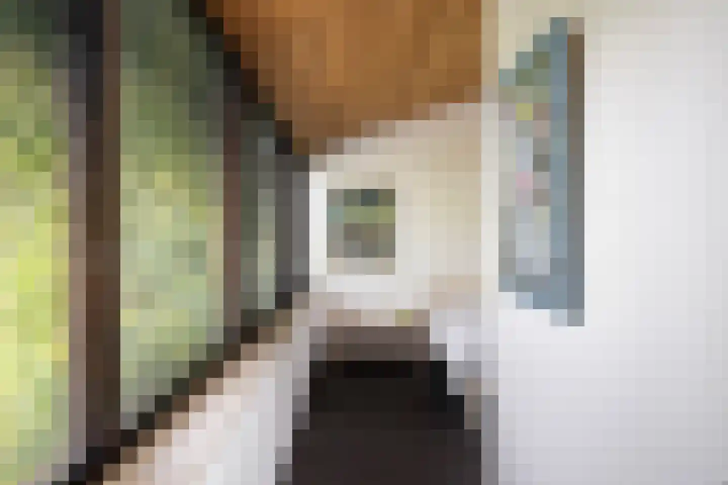 Woelwijk 1 A Tytsjerk thumbnail 35