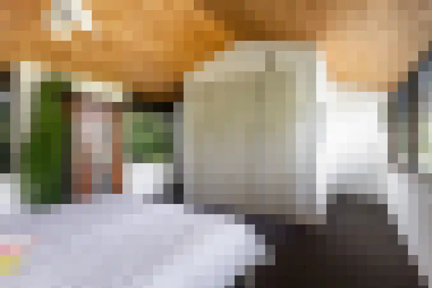 Woelwijk 1 A Tytsjerk thumbnail 38