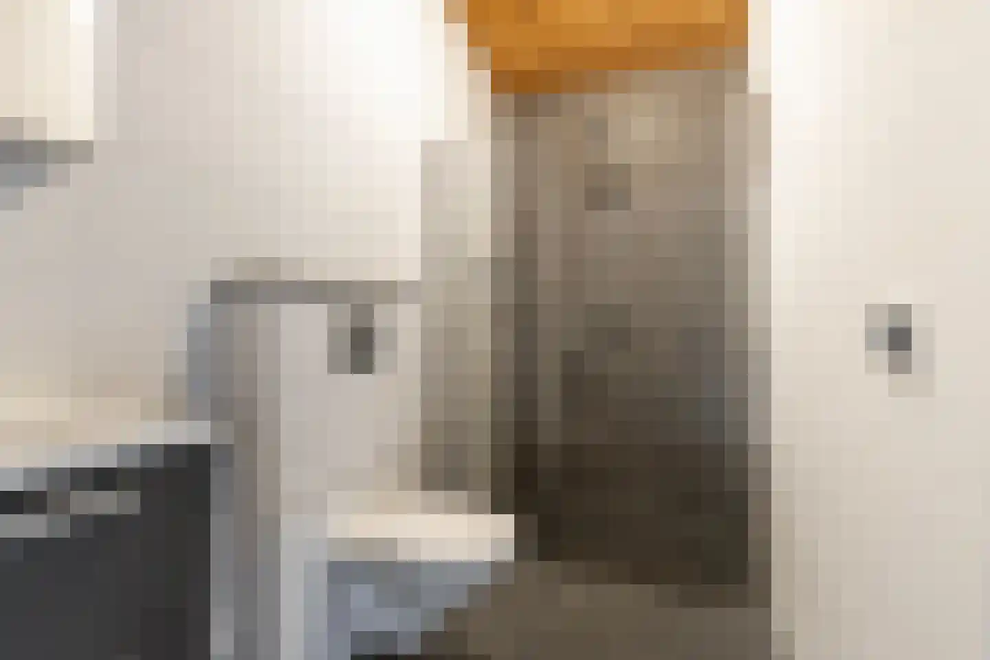 Woelwijk 1 A Tytsjerk thumbnail 40