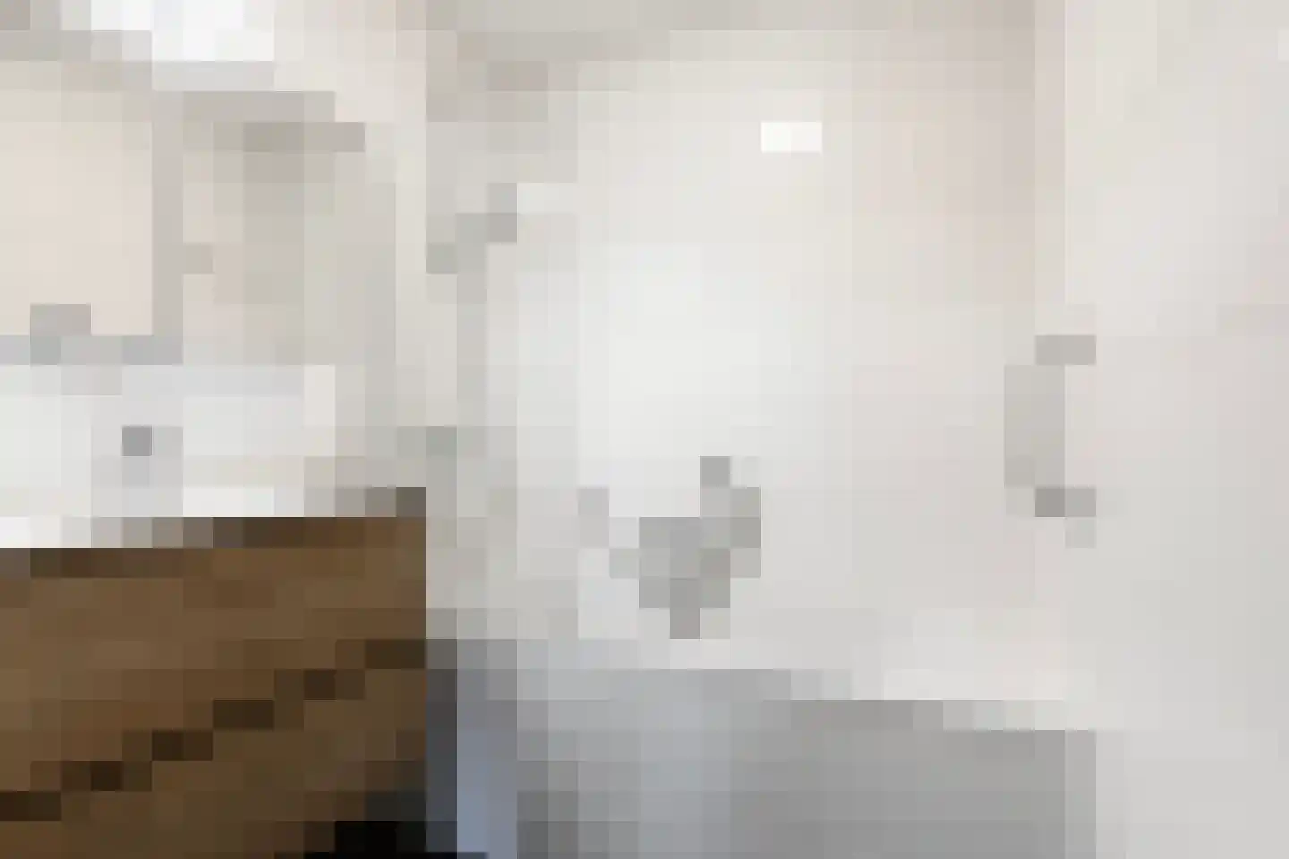 Woelwijk 1 A Tytsjerk thumbnail 45
