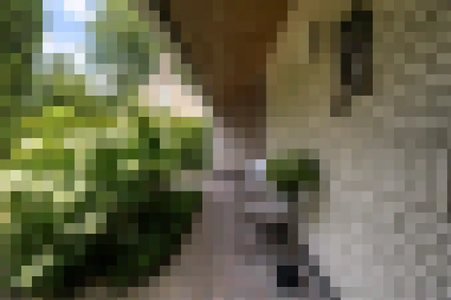 Woelwijk 1 A Tytsjerk thumbnail 46