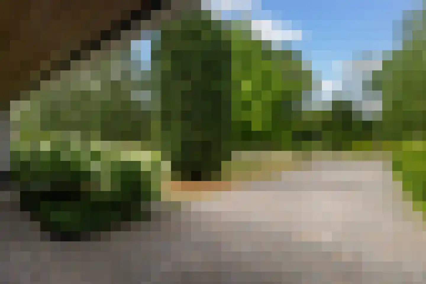 Woelwijk 1 A Tytsjerk thumbnail 48