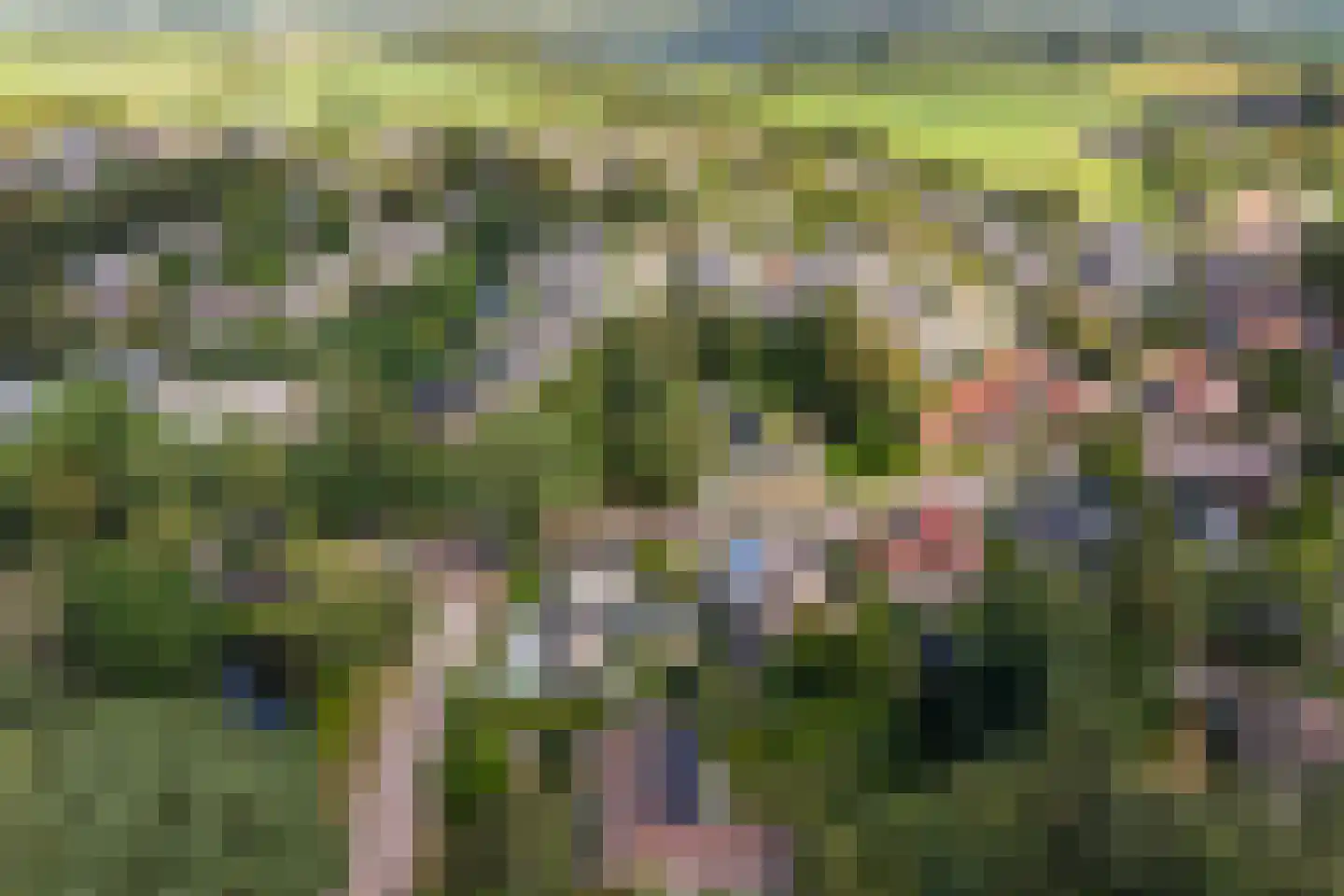 Woelwijk 1 A Tytsjerk thumbnail 49
