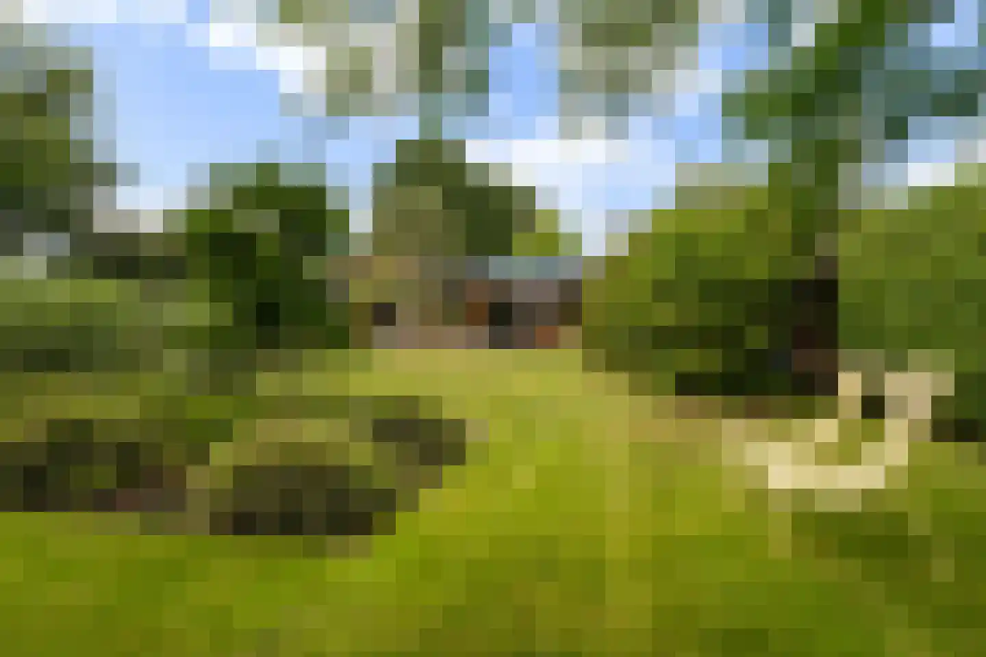 Woelwijk 1 A Tytsjerk thumbnail 5