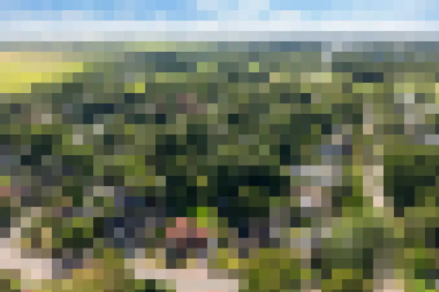 Woelwijk 1 A Tytsjerk thumbnail 50
