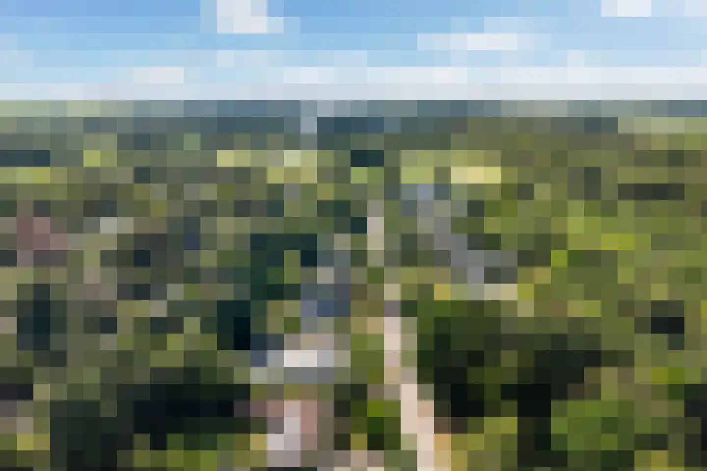 Woelwijk 1 A Tytsjerk thumbnail 6