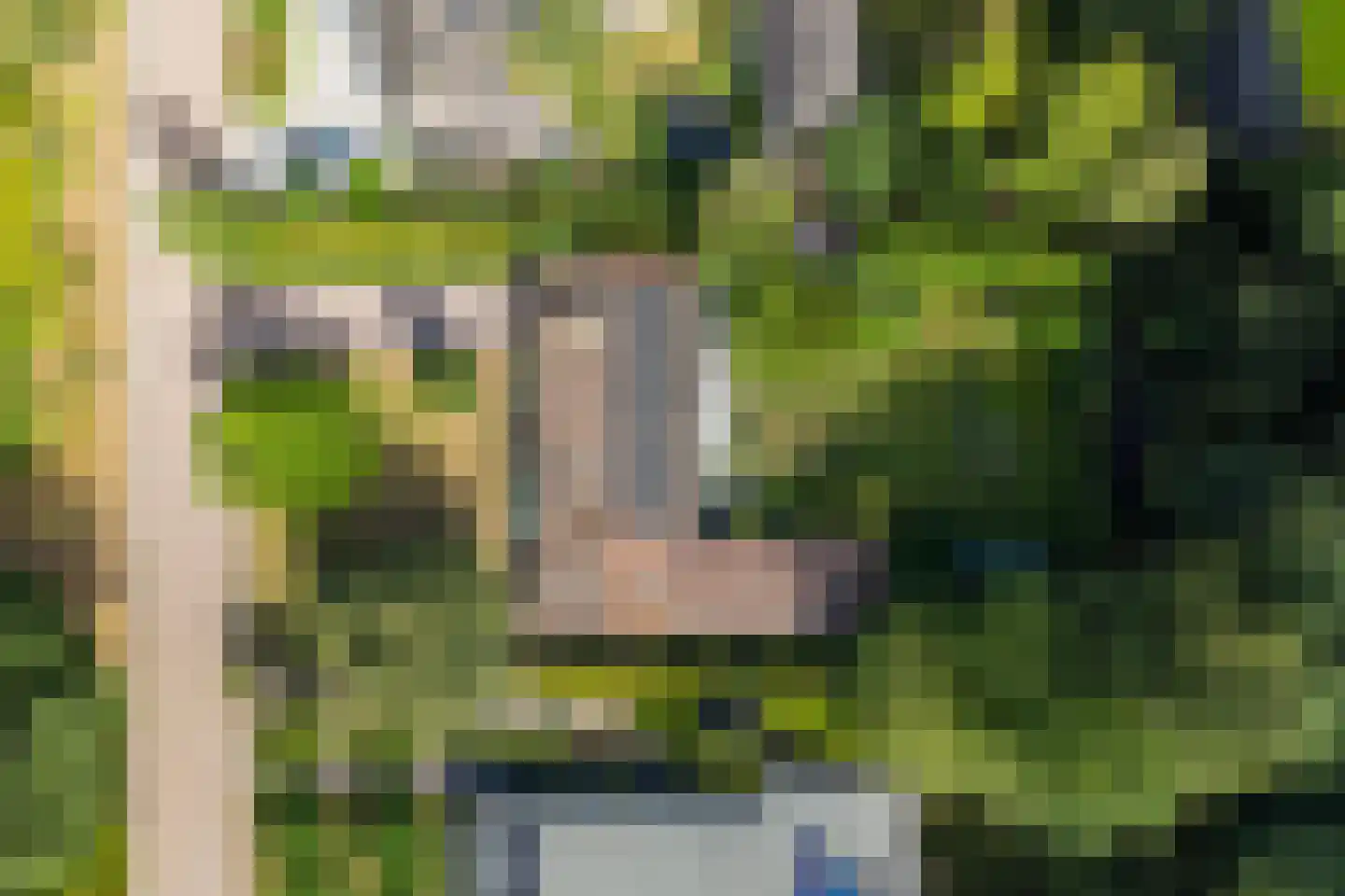 Woelwijk 1 A Tytsjerk thumbnail 7