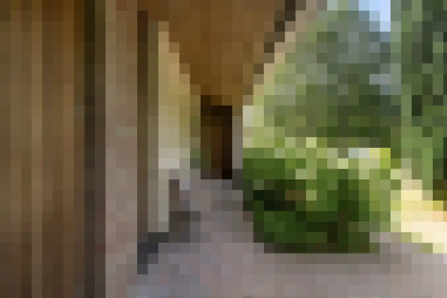 Woelwijk 1 A Tytsjerk thumbnail 8