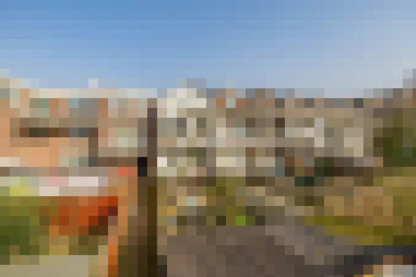 Woelwijkstraat 54 A Rotterdam thumbnail 39