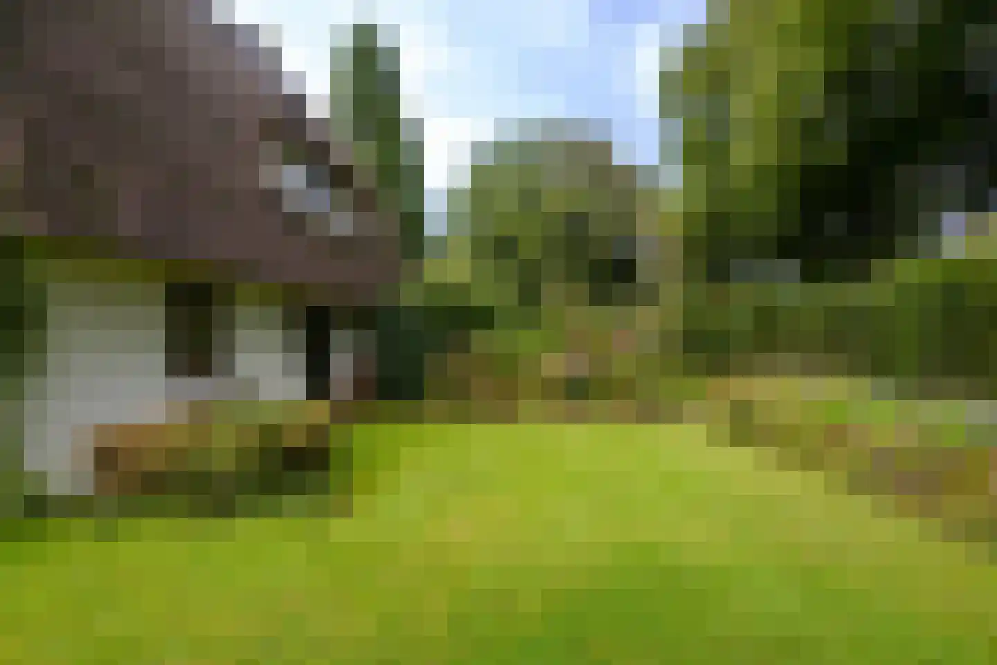 Woensbergweg 2 Blaricum thumbnail 4