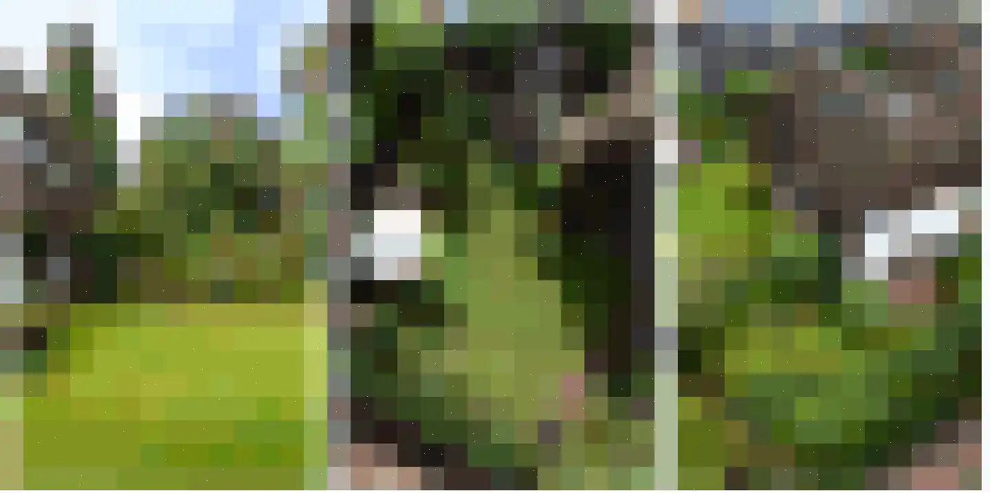 Woensbergweg 2 Blaricum thumbnail 5