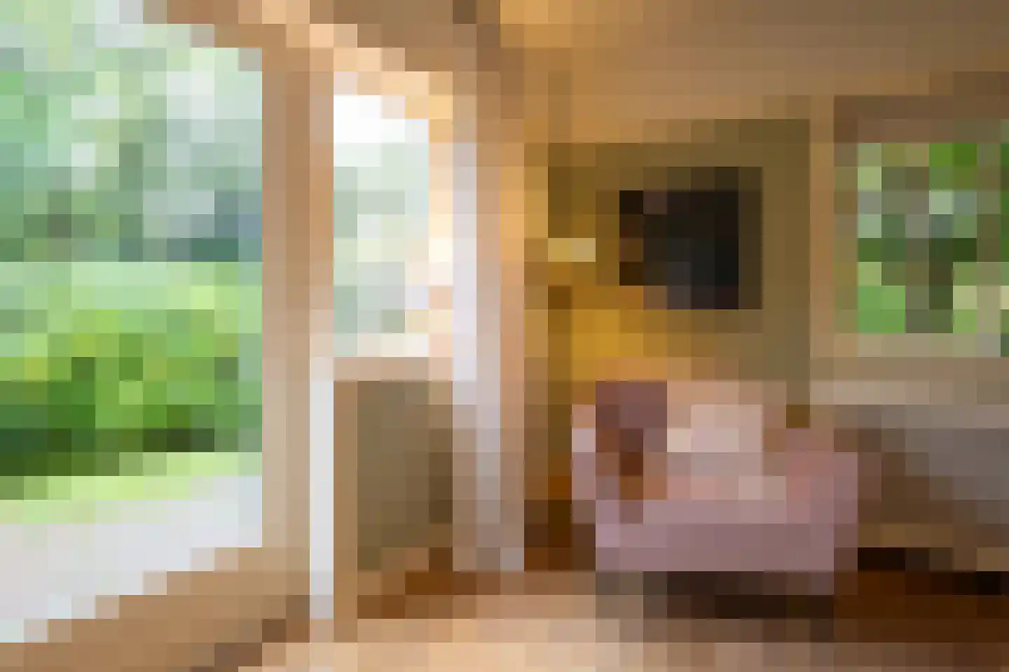 Woensbergweg 2 Blaricum thumbnail 9