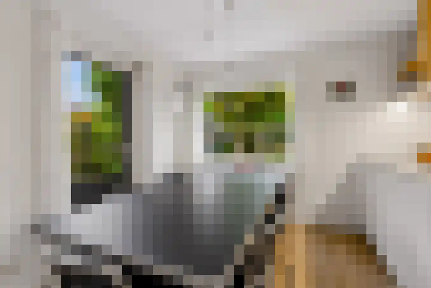 Woensdagstraat 15 Almere thumbnail 34