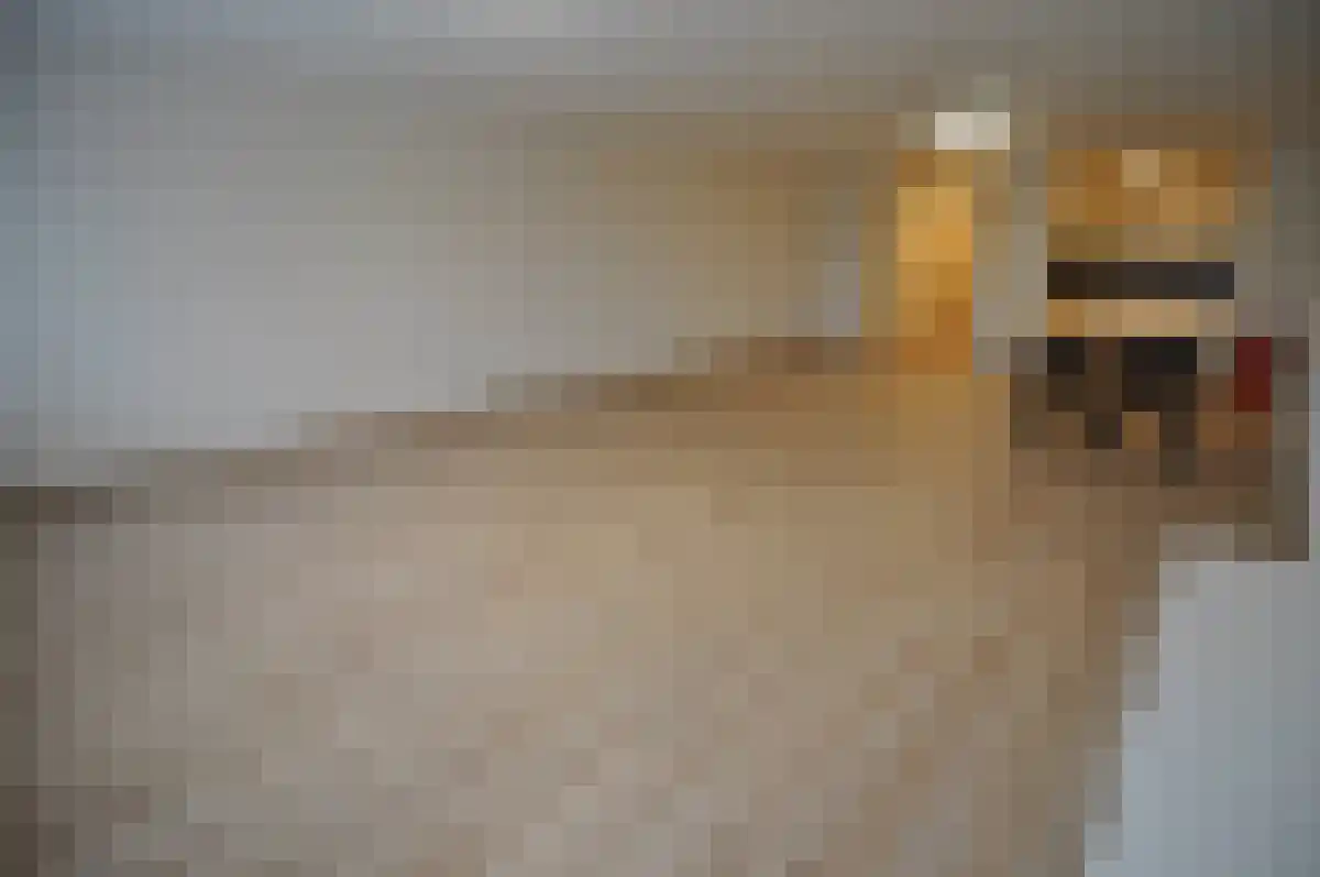 Woenselse Markt 13 Eindhoven thumbnail 4