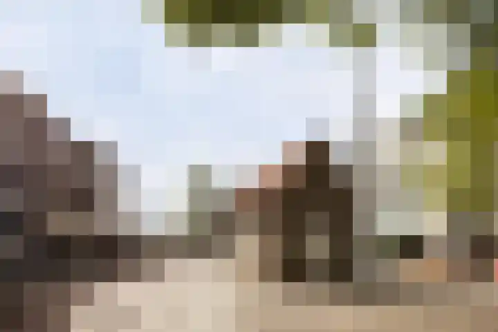 Woenselse Markt 30 C Eindhoven thumbnail 23